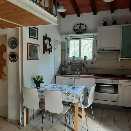 Monolocale Le Mimose Apartment