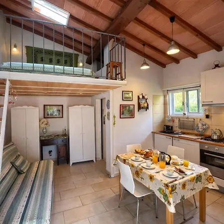 Monolocale Le Mimose Apartment